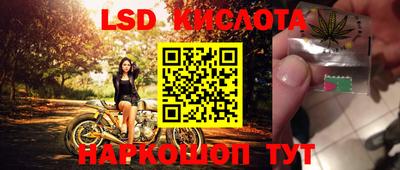 PSILOCYBIN Моздок