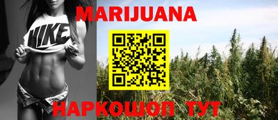 сатива Можайск