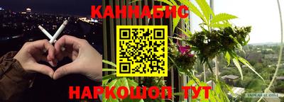 PSILOCYBIN Моздок