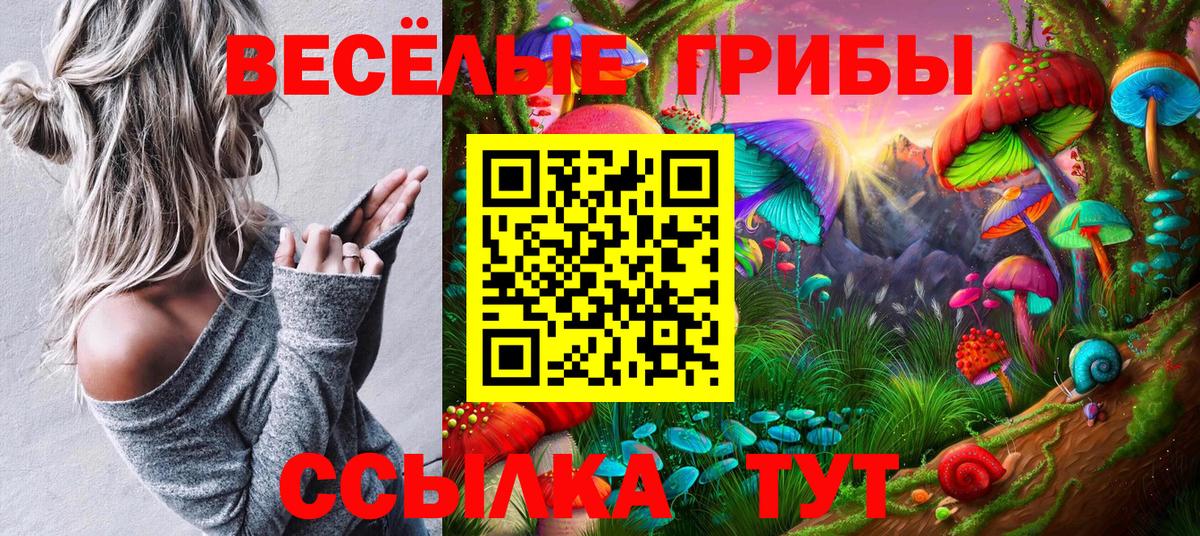 Галлюциногенные грибы прущие грибы Тосно