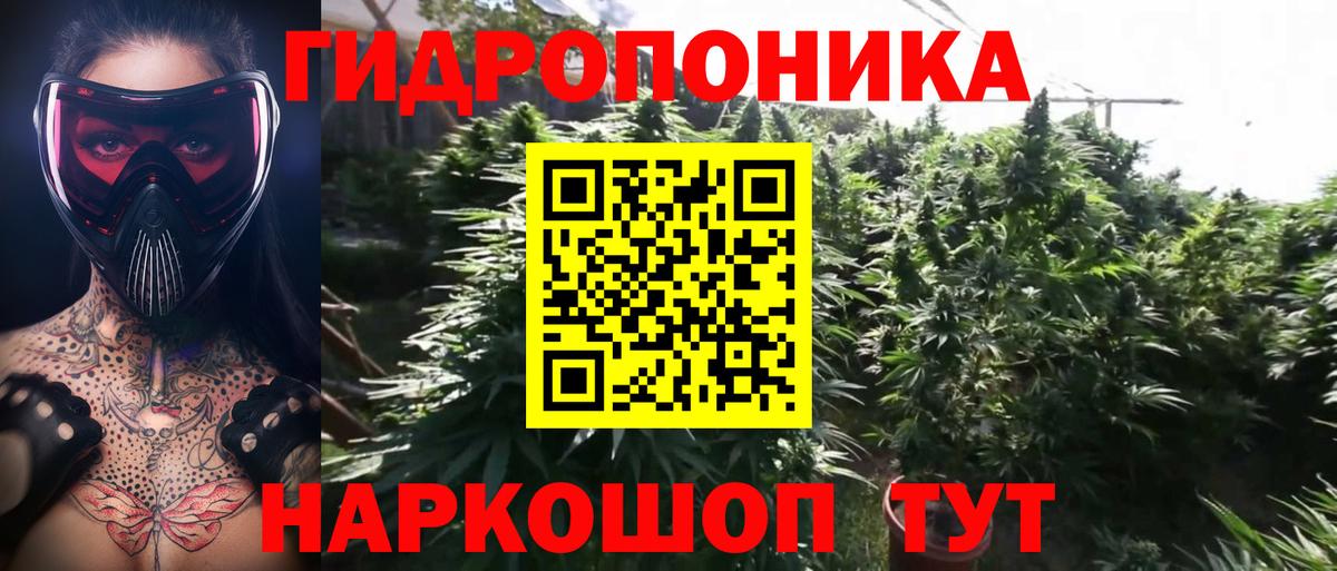 Канабис THC 21%  Марихуана SATIVA & INDICA  Вход с VPN  Тосно  МАРИХУАНА планчик 